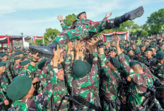 Indonesia Diminta Bergerak Atasi Kasus Senjata OPM