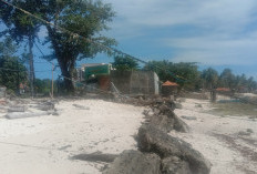 Camat Pesisir Selatan Minta Penanganan Abrasi Pantai