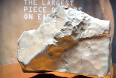 Meteorit Mars Terbesar Ditemukan di Bumi, Terjual Rp 86 Miliar di Lelang