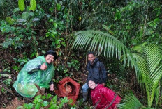 Lokasi Sulit Dijangkau, Rafflesia di Pancurmas Tetap  Menjadi Magnet Wisata Dadakan