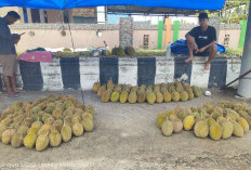 5 Efek Samping Makan Durian di Malam Hari  