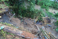 Tebing Longsor di Simpang Luas Segera Ditanggulangi 