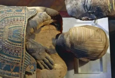Misteri Mumi Bashiri, Warisan Mesir Kuno yang Tak Tersentuh Selama Seabad