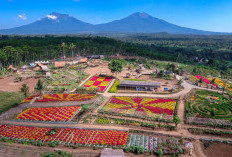 Pesona Agrowisata,  Menikmati Alam Asri di Sembilan  Destinasi Pilihan Nusantara