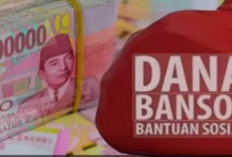 Panduan Pendaftaran Bansos Pemerintah 2025: Dari PKH hingga Bantuan Sembako