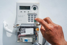 Pemerintah Putuskan Tarif Listrik  Tidak Naik Sampai Maret 2026