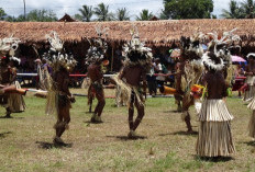Tarian Tradisional Papua Cerminkan Kekayaan Budaya