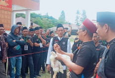 Pelatihan Juleha Sukses Digelar