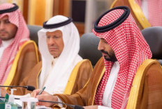 Putra Mahkota Arab Saudi Suntik Rp162 T ke Danantara, Bidik Proyek Energi Bersih