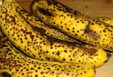 Pisang Dengan Banyak Bintik Hitam di Kulitnya Rupanya Mengandung Banyak Khasiat 