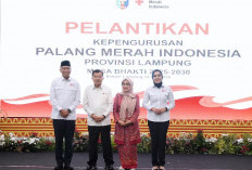 Jusuf Kalla Lantik Pengurus PMI Provinsi Lampung, Purnama Wulan Sari Resmi Jadi Ketua