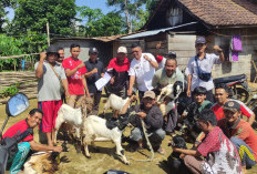 Beri Bantuan 40 Ternak Kambing, Wayngison Berdayakan Petani Disektor Ketahanan Pangan 