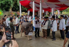 Tradisi Betawi 'Andilan Potong Kebo' Hidup Kembali Jelang Lebaran di Jakarta