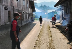 Kasus DBD Naik,  Puskesmas Buaynyerupa Fogging Pemukiman Warga