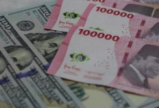 Rupiah Melemah ke Rp16.237, Dolar AS Masih Menguat di Tengah Sentimen Eksternal