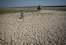 Siap-siap, Wilayah Indonesia Mulai Musim Kemarau Mei 2025, Puncaknya Juni hingga Agustus