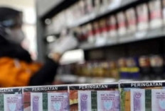 Pendapatan Bea dan Cukai RI Capai Rp183,2 Triliun Rokok Jadi Kontributor Utama