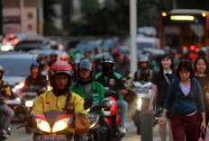 Lapangan Kerja Kian Sempit, Banyak Orang Beralih ke Profesi Pelatih AI