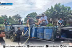 Solidaritas Ditengah Musibah, Penjual Air Keliling Bantu Petugas Padamkan Kebakaran Rumah di Gunung Sugih