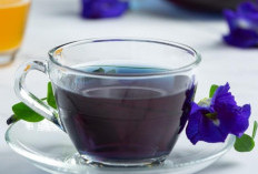 Teh Herbal: Solusi Alami untuk Menjaga Kesehatan Ginjal