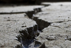 Gempa M 4,1 Guncang Kota Bogor Getaran Terasa Hingga Kota Depok