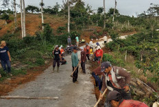 Masyarakat Pekon Tigajaya  Gotong Royong Perbaiki Jalan