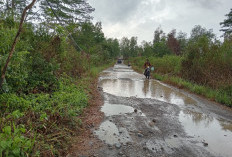 Jalan Kabupaten di Suka Marga Rusak Parah, Kondisinya Membahayakan Pengendara