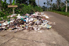 Sampah di Pinggiran Jalan Dikeluhkan Warga 