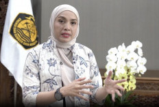 Kementerian ESDM Akui Tak Dilibatkan dalam Keputusan Diskon Listrik