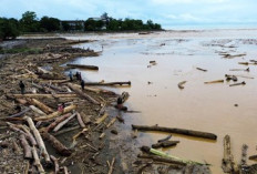 Jejak Gergaji di Kayu Terseret Banjir Sumatra, Polri Fokus Telusuri Akar Masalah
