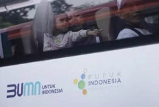 Tujuh BUMN Dibubarkan, Pemerintah Tegaskan Komitmen Perbaikan dan Akuntabilitas