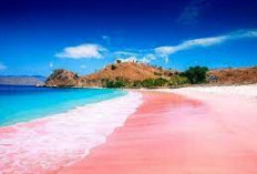  Apa yang Membuat Pantai Pink Begitu Spesial?