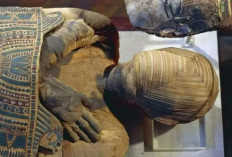 Misteri Mumi Bashiri Berusia 2.300 Tahun yang Tak Bisa Dipegang oleh Peneliti