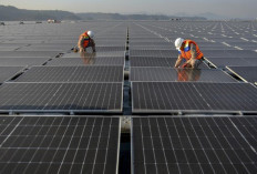 Penjualan Sertifikat Hijau PLN  Tembus 13,68 TWh per Juni 2025