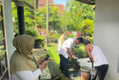 Cegah DBD, Kelurahan Pasar Krui Maksimalkan Peran Kader Jumantik