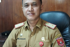 RPH Lampung Barat Minim Fasilitas