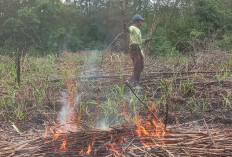 Pekon Padang Dalom Buka Lahan 6.400 M² untuk Ketahanan Pangan