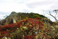 Menjelajahi Gunung  Lompobattang Sinjai