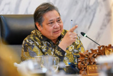 Indonesia Incar Keanggotaan OECD, Ini Potensi Keuntungan dan Tantangannya
