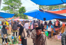 Jelang Hari Lebaran Idul Fitri,   Pengunjung Pasar Liwa Meningkat