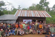 Perpres Tentang Penertiban  Kawasan Hutan Disosialisasikan 