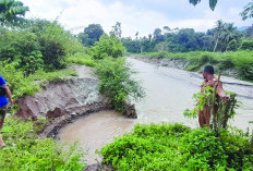 Tanggul Jebol Diterjang Banjir, Pemukiman Warga Buaynyerpa Terancam