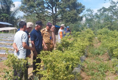 Dua Poktan Jadi Sasaran Kegiatan SLPHT 