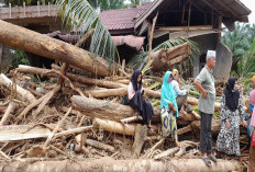 Misteri Kayu Gelondongan Banjir Sumbar, Mendagri Bentuk Tim Investigasi