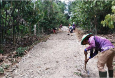 Jalan Usaha Tani Suka Marga Ditargetkan Selesai Bulan Oktober