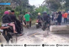 Pohon Tumbang Sempat Lumpuhkan Jalan Lintas Nasional di Batu Brak, Lalu Lintas Kembali Normal