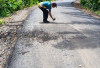 Baru Seumur Jagung, Jalan Senilai Rp3,4 Miliar  di Ngambur Sudah Rusak