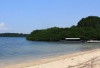Menikmati Keindahan Pantai Bama di Banyuwangi
