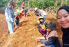 Kolaborasi Dua Srikandi, Ubah Lahan Kosong Jadi  Kebun Hortikultura Produktif