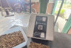 Setelah Fluktuasi, Harga Kopi Stabil di Rp47.000